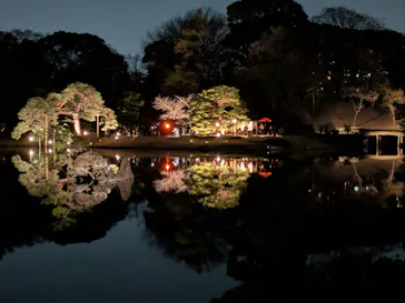 六義園に投稿された画像（2026/3/26）