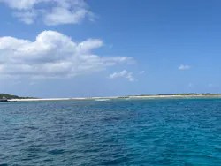 真心ダイバーズに投稿された画像（2026/3/26）