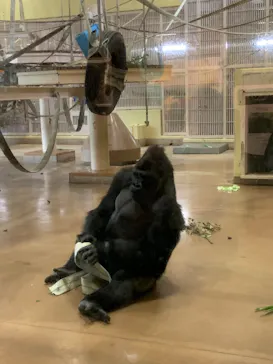 名古屋市東山動植物園に投稿された画像（2026/3/26）