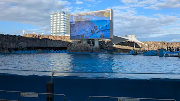 名古屋港水族館に投稿された画像（2026/3/26）