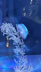 名古屋港水族館に投稿された画像（2026/3/26）