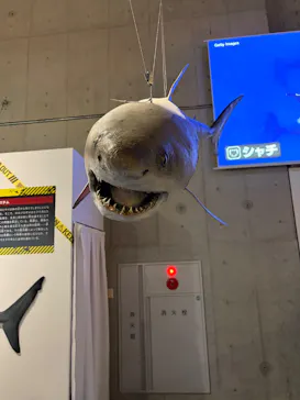 特別展「超危険生物展　科学で挑む生き物の本気」に投稿された画像（2026/3/26）