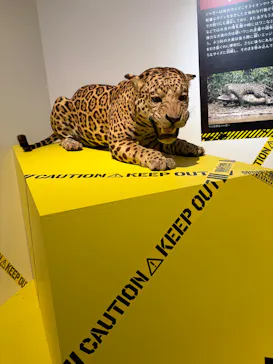特別展「超危険生物展　科学で挑む生き物の本気」に投稿された画像（2026/3/26）