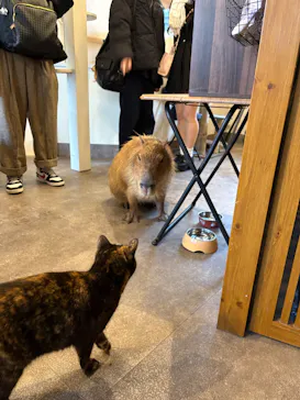 おさるの湯もみ処　おさ湯に投稿された画像（2026/3/26）