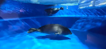 サンシャイン水族館に投稿された画像（2026/3/26）