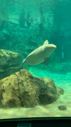 名古屋港水族館に投稿された画像（2026/3/26）