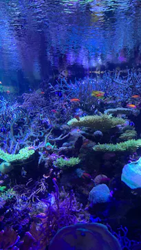 名古屋港水族館に投稿された画像（2026/3/26）