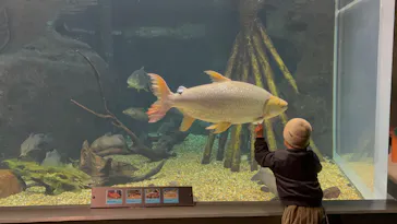 世界淡水魚園水族館　アクア・トトぎふに投稿された画像（2026/3/26）