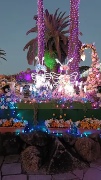 ひらかたパークに投稿された画像（2026/3/26）