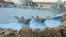 名古屋港水族館に投稿された画像（2026/3/26）