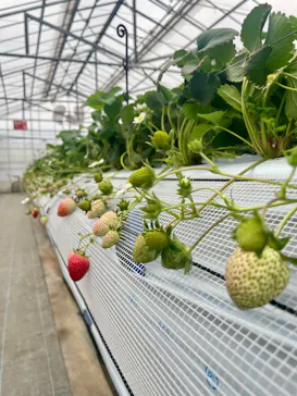 山万ユーカリファームに投稿された画像（2026/3/26）