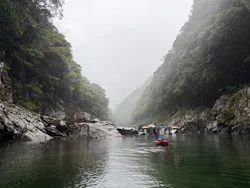 屋久島フィールドガイドスピニカに投稿された画像（2026/3/26）