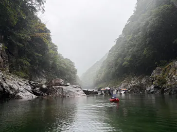 屋久島フィールドガイドスピニカに投稿された画像（2026/3/26）