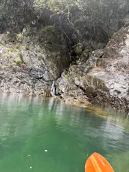 屋久島フィールドガイドスピニカに投稿された画像（2026/3/26）