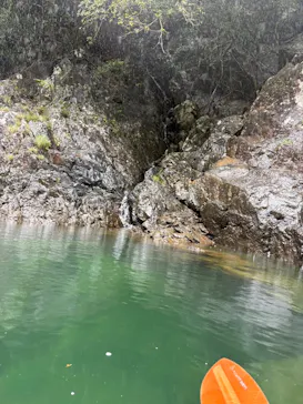 屋久島フィールドガイドスピニカに投稿された画像（2026/3/26）