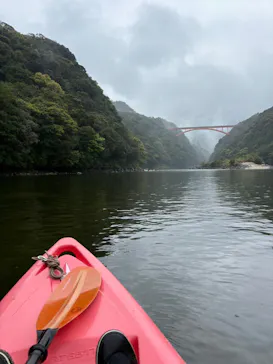 屋久島フィールドガイドスピニカに投稿された画像（2026/3/26）