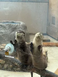 横浜・八景島シーパラダイスに投稿された画像（2026/3/27）