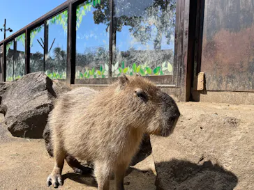 伊豆シャボテン動物公園に投稿された画像（2026/3/27）
