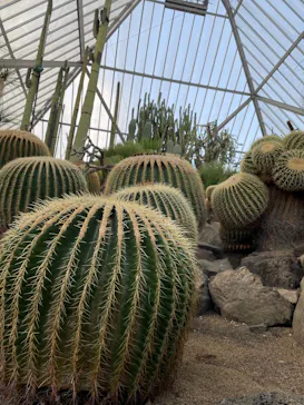 伊豆シャボテン動物公園に投稿された画像（2026/3/27）