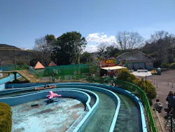 日本モンキーパークに投稿された画像（2026/3/27）