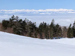 アソビュー！ポイントに投稿された画像（2026/3/27）