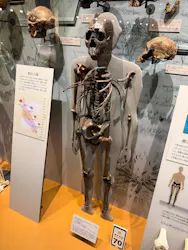 福井県立恐竜博物館に投稿された画像（2026/3/27）