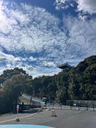 志摩グリーンアドベンチャーに投稿された画像（2026/3/27）