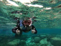 武藤潜水に投稿された画像（2026/3/27）