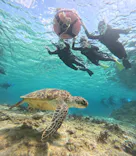 OCEAN LIFE 宮古島に投稿された画像（2026/3/27）