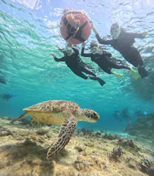 OCEAN LIFE 宮古島に投稿された画像（2026/3/27）