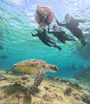OCEAN LIFE 宮古島に投稿された画像（2026/3/27）