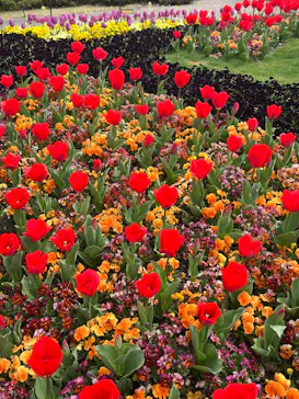 安城産業文化公園デンパークに投稿された画像（2026/3/27）