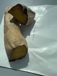 愛知おいも万博に投稿された画像（2026/3/27）