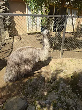 伊豆シャボテン動物公園に投稿された画像（2026/3/27）