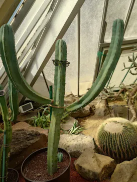 伊豆シャボテン動物公園に投稿された画像（2026/3/27）