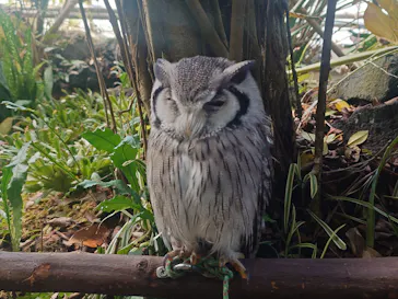 伊豆シャボテン動物公園に投稿された画像（2026/3/27）