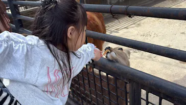 宇都宮動物園に投稿された画像（2026/3/27）