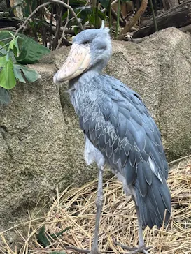 那須どうぶつ王国に投稿された画像（2026/3/27）