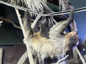 カワスイ 川崎⽔族館に投稿された画像（2026/3/27）