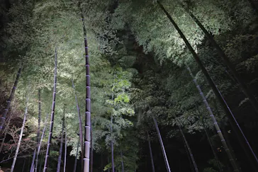 六義園に投稿された画像（2026/3/27）