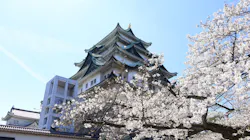 名古屋城に投稿された画像（2026/3/27）