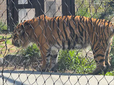 名古屋市東山動植物園に投稿された画像（2026/3/27）