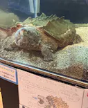 浜名湖体験学習施設ウォットに投稿された画像（2026/3/27）
