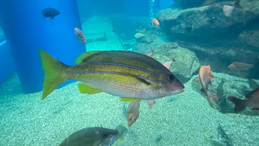 マクセル アクアパーク品川に投稿された画像（2026/3/27）