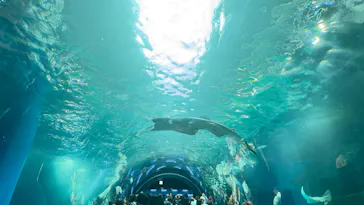 マクセル アクアパーク品川に投稿された画像（2026/3/27）