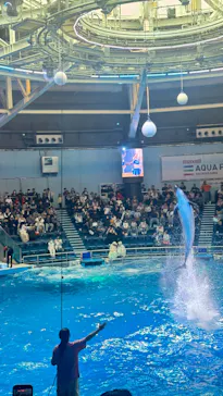 マクセル アクアパーク品川に投稿された画像（2026/3/27）