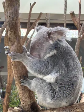 こども動物自然公園（埼玉県公園緑地協会）に投稿された画像（2026/3/27）
