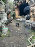 恩賜上野動物園に投稿された画像（2026/3/27）