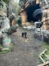 恩賜上野動物園に投稿された画像（2026/3/27）