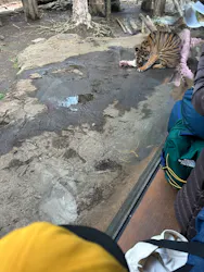 恩賜上野動物園に投稿された画像（2026/3/27）